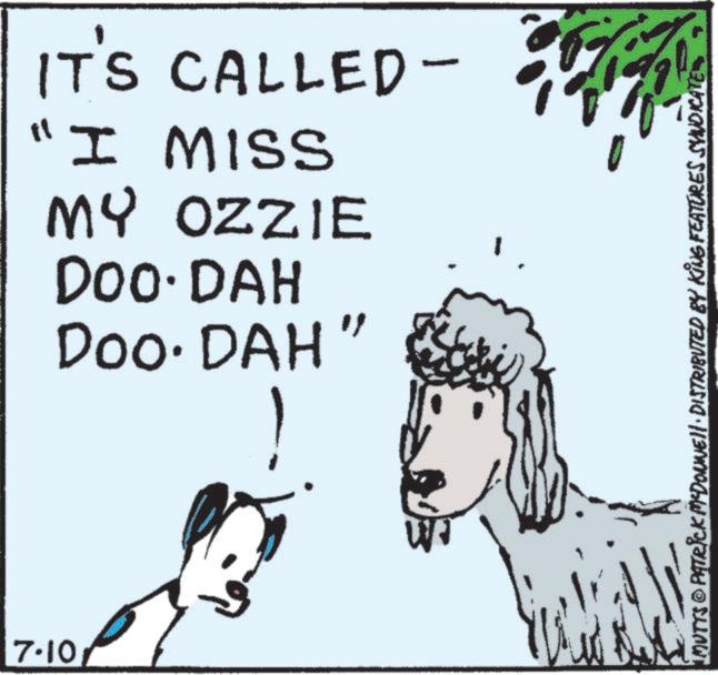 Child art OCR: 7.10 IT'S CALLED - "I MISS MY OZZIE DOO. DAH Doo. DAH" Wa ¡MUTTS © PATRICK MYDONNELL · DISTRIBUTED BY KING FEATURES SYNDICATE 7.10 IT'S CALLED - " I MISS MY OZZIE DOO . DAH Doo . DAH " Wa ¡ MUTTS © PATRICK MYDONNELL · DISTRIBUTED BY KING FEATURES SYNDICATE