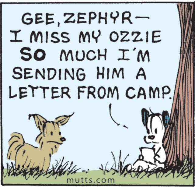 Canidae OCR: GEEZEPHYR- I MISS MY OZZIE SO MUCH I'M SENDING HIM A LETTER FROM CAMP. mutts.com GEEZEPHYR- I MISS MY OZZIE SO MUCH I'M SENDING HIM A LETTER FROM CAMP . mutts.com