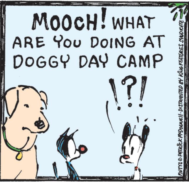 Animation OCR: MOOCH! WHAT ARE YOU DOING AT DOGGY DAY CAMP 1?1 MUTTS © PATRICK MCDONNEL DISTRIBUTED BY KING FEATURES SYNDICATE MOOCH ! WHAT ARE YOU DOING AT DOGGY DAY CAMP 1 ? 1 MUTTS © PATRICK MCDONNEL DISTRIBUTED BY KING FEATURES SYNDICATE