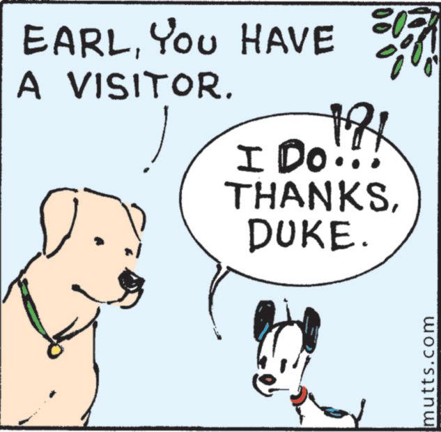 Happiness OCR: EARLYOU HAVE A VISITOR. 181 I Do!!! THANKSDUKE. mutts.com EARLYOU HAVE A VISITOR . 181 I Do !!! THANKSDUKE . mutts.com