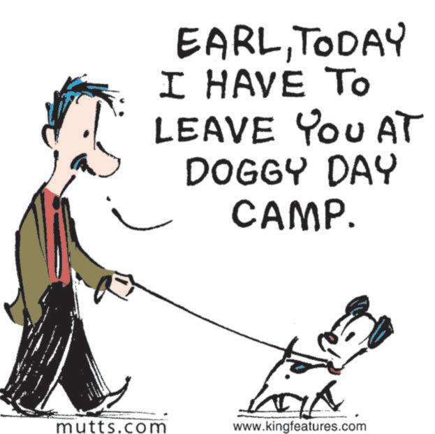 Dog Supply OCR: EARLTODAY I HAVE TO LEAVE YOU AT DOGGY DAY CAMP. mutts.com www.kingfeatures.com EARLTODAY I HAVE TO LEAVE YOU AT DOGGY DAY CAMP . mutts.com www.kingfeatures.com