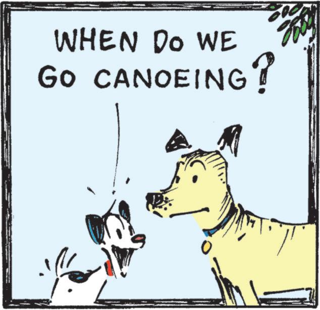 Dalmatian dog OCR: WHEN DO WE GO CANOEING? 800 WHEN DO WE GO CANOEING ? 800