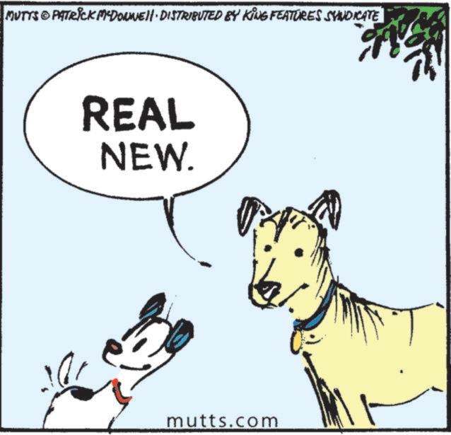 Graphics OCR: MUTTS PATRICK MCDONNELL DISTRIBUTED BY KING FEATURES SYNDICATE REAL NEW. mutts.com MUTTS PATRICK MCDONNELL DISTRIBUTED BY KING FEATURES SYNDICATE REAL NEW . mutts.com