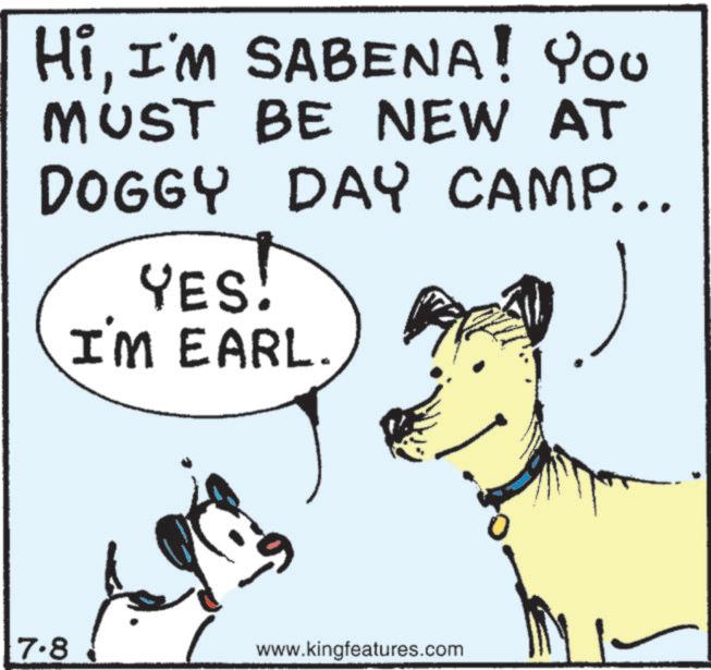 Line art OCR: HiI'M SABENA! You MUST BE NEW AT DOGGY DAY CAMP... YES! I'M EARL. 7.8 www.kingfeatures.com HiI'M SABENA ! You MUST BE NEW AT DOGGY DAY CAMP ... YES ! I'M EARL . 7.8 www.kingfeatures.com