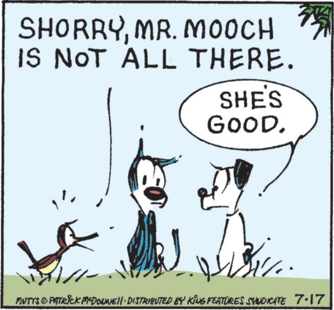 Fictional character OCR: SHORRYMR. MOOCH IS NOT ALL THERE. SHE'S GOOD. MUTTS © PATRICK MYDONNELL DISTRIBUTED BY KING FEATURES SYNDICATE 7.17 SHORRYMR . MOOCH IS NOT ALL THERE . SHE'S GOOD . MUTTS © PATRICK MYDONNELL DISTRIBUTED BY KING FEATURES SYNDICATE 7.17