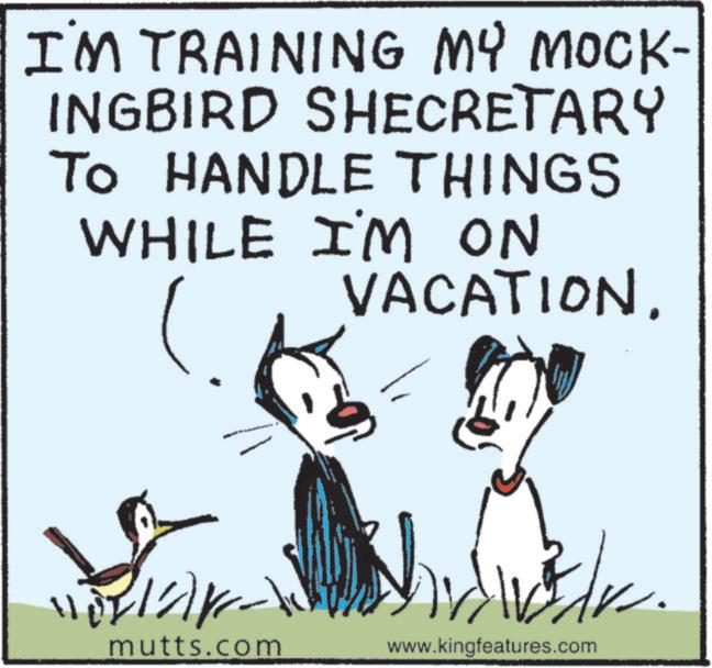 Animated cartoon OCR: I'M TRAINING MY MOCK- INGBIRD SHECRETARY TO HANDLE THINGS WHILE I'M ON VACATION. mutts.com www.kingfeatures.com I'M TRAINING MY MOCK- INGBIRD SHECRETARY TO HANDLE THINGS WHILE I'M ON VACATION . mutts.com www.kingfeatures.com