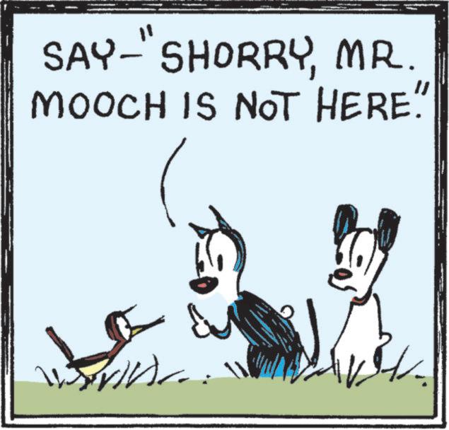 Line art OCR: SAY-" SHORRYMR. MOOCH IS NOT HERE" www SAY- " SHORRYMR . MOOCH IS NOT HERE " www