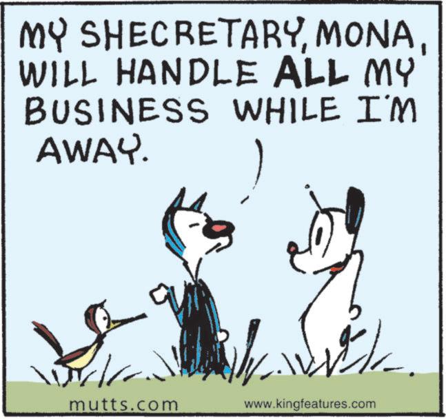 Canidae OCR: MY SHECRETARYWILL HANDLE ALL MY BUSINESS WHILE I'M AWAY. 1 mutts.com www.kingfeatures.com MY SHECRETARYWILL HANDLE ALL MY BUSINESS WHILE I'M AWAY . 1 mutts.com www.kingfeatures.com