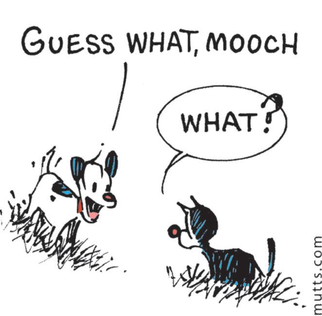 Animation OCR: GUESS WHATMOOCH WHAT! itts.com GUESS WHATMOOCH WHAT ! itts.com