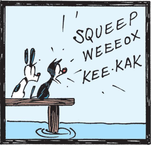 Animated cartoon OCR: SQUEEP WEEEOX KEE KAK SQUEEP WEEEOX KEE KAK