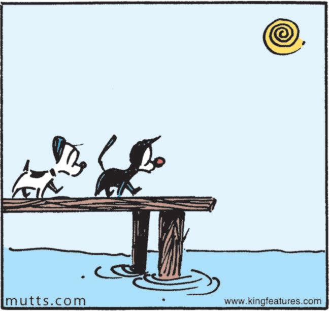 Fiction OCR: mutts.com www.kingfeatures.com mutts.com www.kingfeatures.com