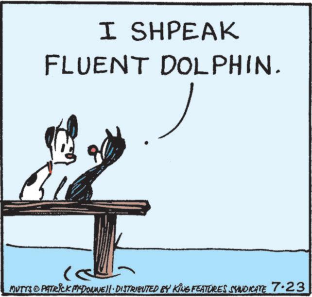 Animated cartoon OCR: I SHPEAK FLUENT DOLPHIN. MUTTS PATRICK MEDONNELL DISTRIBUTED BY KING FEATURES SYNDICATE 7.23 I SHPEAK FLUENT DOLPHIN . MUTTS PATRICK MEDONNELL DISTRIBUTED BY KING FEATURES SYNDICATE 7.23