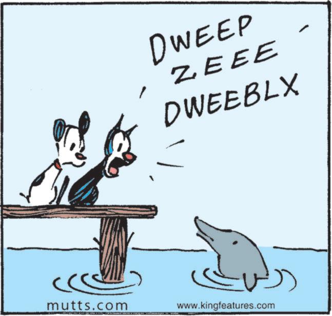 Fin OCR:DWEEP ZEEE DWEEBLX mutts.com www.kingfeatures.comDWEEP ZEEE DWEEBLX mutts.com www.kingfeatures.com