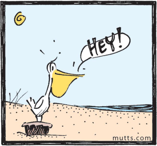 Animation OCR: HEY! mutts.com HEY ! mutts.com