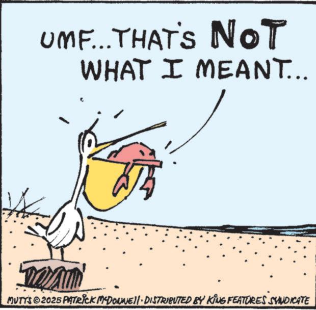 Animation OCR: UMF... THAT'S NOT WHAT I MEANT... MUTTS ©2025 PATRICK MADONNELL DISTRIBUTED BY KING FEATURES SYNDICATE UMF ... THAT'S NOT WHAT I MEANT ... MUTTS © 2025 PATRICK MADONNELL DISTRIBUTED BY KING FEATURES SYNDICATE