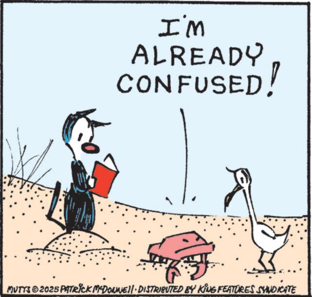 Photo caption OCR: I'm ALREADY CONFUSED! MUTTS 2025 PATRICK MCDONNELL DISTRIBUTED BY KING FEATURES SYNDICATE © I'm ALREADY CONFUSED ! MUTTS 2025 PATRICK MCDONNELL DISTRIBUTED BY KING FEATURES SYNDICATE ©