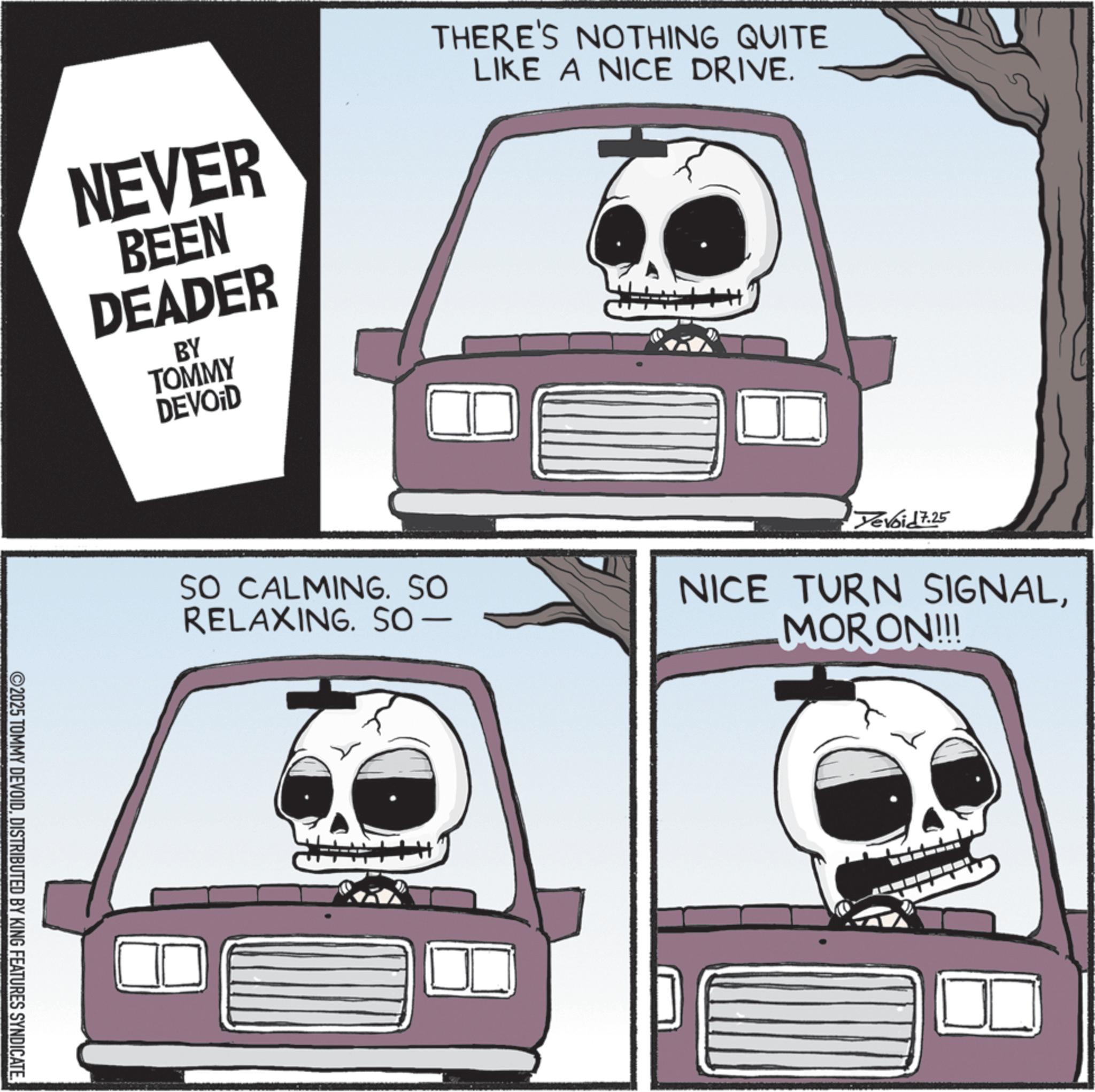 Car seat OCR: NEVER BEEN DEADER BY TOMMY DEVOID THERE'S NOTHING QUITE LIKE A NICE DRIVE. ©2025 TOMMY DEVOIDDISTRIBUTED BY KING FEATURES SYNDICATE. SO CALMING. SO RELAXING. SO- Yevoid 7.25 NICE TURN SIGNALMORON!!! NEVER BEEN DEADER BY TOMMY DEVOID THERE'S NOTHING QUITE LIKE A NICE DRIVE . © 2025 TOMMY DEVOIDDISTRIBUTED BY KING FEATURES SYNDICATE . SO CALMING . SO RELAXING . SO- Yevoid 7.25 NICE TURN SIGNALMORON !!!