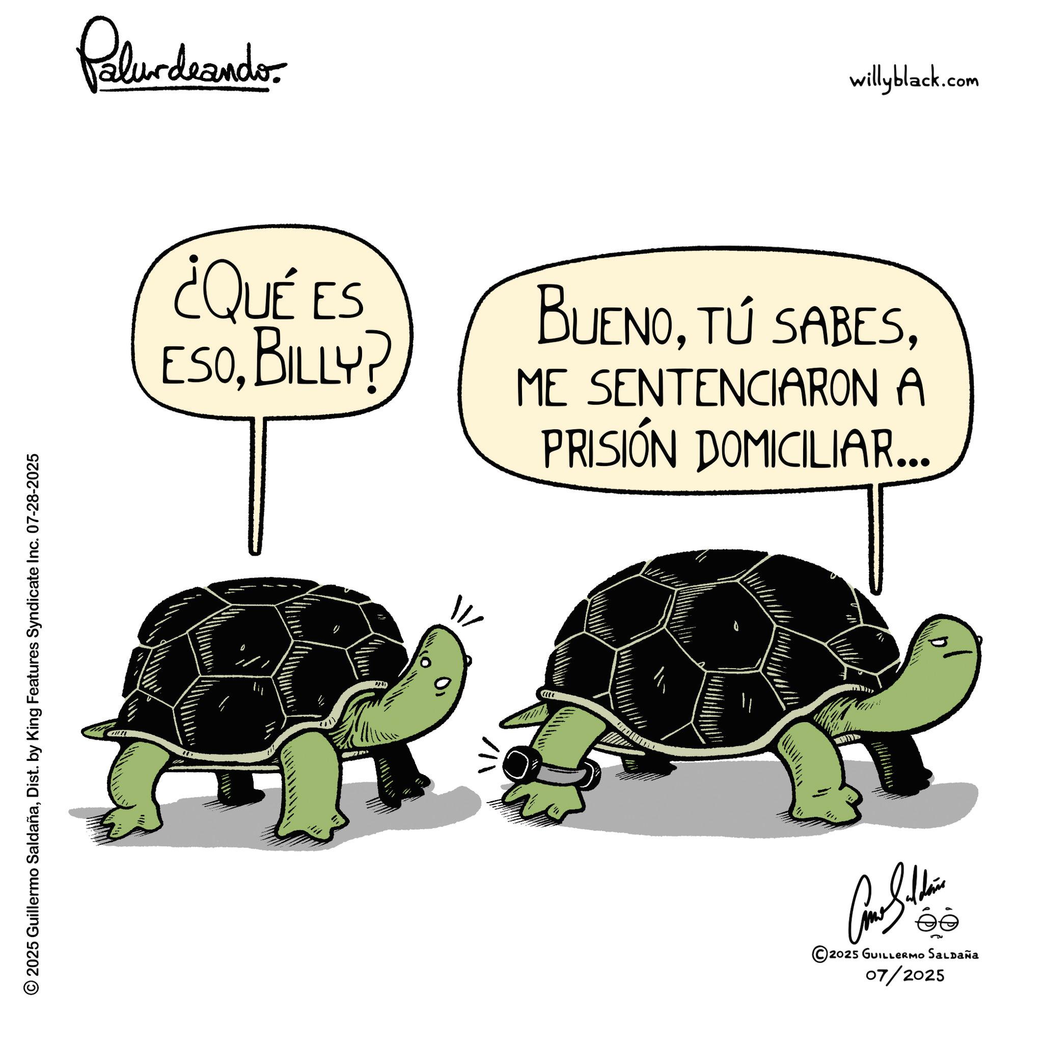 Gopher tortoises OCR: © 2025 Guillermo SaldañaDist. by King Features Syndicate Inc. 07-28-2025 éé 2025 GUILLERMO SALDAÑA 07/2025 }}) 111 Palurdnander. ¿QUÉ ES ESOBILLY? willyblack.com BUENOME SENTENCIARON A PRISIÓN DOMICILIAR... © 2025 Guillermo SaldañaDist . by King Features Syndicate Inc. 07-28-2025 éé 2025 GUILLERMO SALDAÑA 07/2025 } } ) 111 Palurdnander . ¿ QUÉ ES ESOBILLY ? willyblack.com BUENOTÚ SABESME SENTENCIARON A PRISIÓN DOMICILIAR ...
