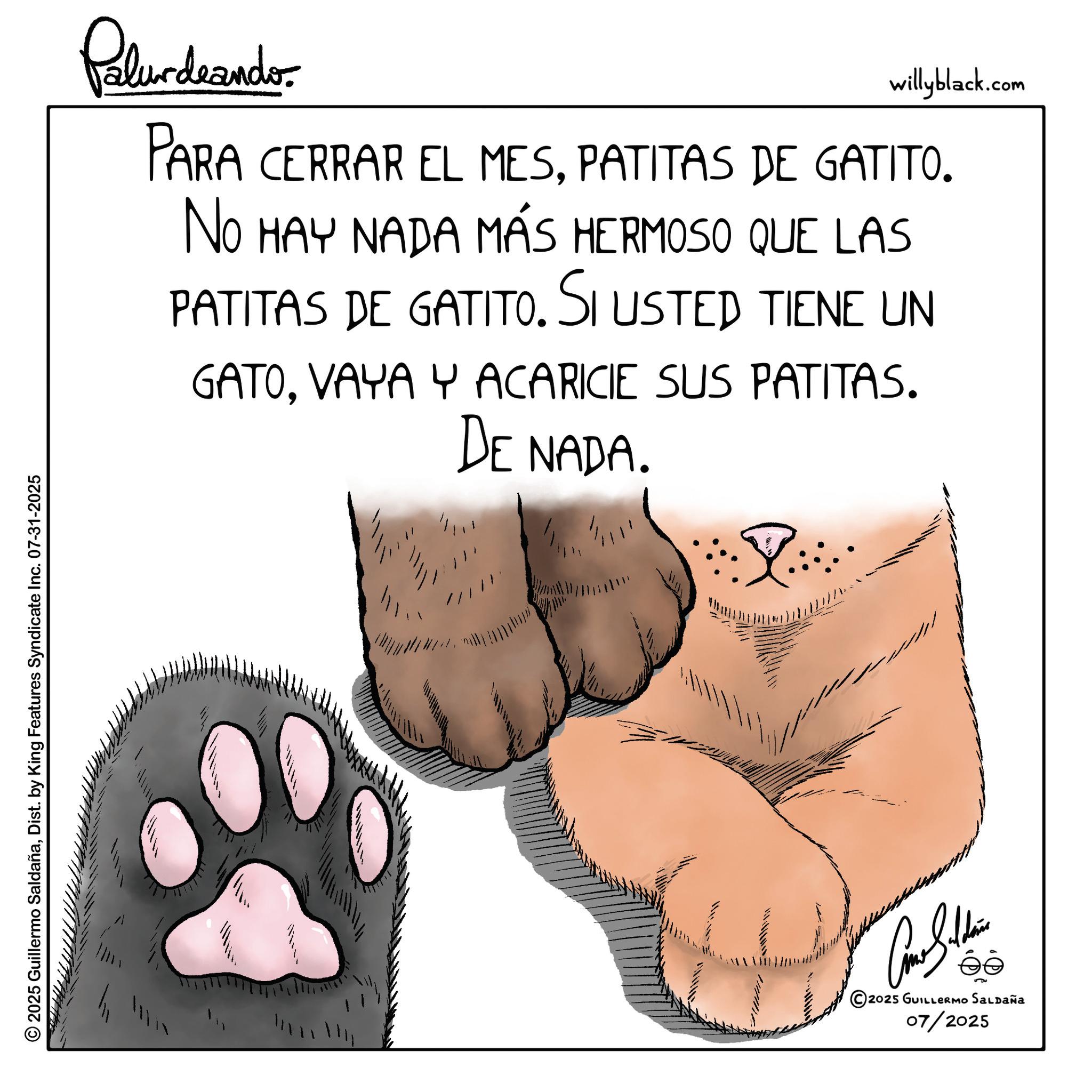 Whiskers OCR: © 2025 Guillermo SaldañaDist. by King Features Syndicate Inc. 07-31-2025 willyblack.com Palurdeando PARA CERRAR EL MESPATITAS DE GATITO. NO HAY NADA MÁS HERMOSO QUE LAS PATITAS DE GATITO. SI USTED TIENE UN GATOVAYA Y ACARICIE SUS PATITAS. DE NADA. éé 2025 GUILLERMO SALDAÑA 07/2025 © 2025 Guillermo SaldañaDist . by King Features Syndicate Inc. 07-31-2025 willyblack.com Palurdeando PARA CERRAR EL MESPATITAS DE GATITO . NO HAY NADA MÁS HERMOSO QUE LAS PATITAS DE GATITO . SI USTED TIENE UN GATOVAYA Y ACARICIE SUS PATITAS . DE NADA . éé 2025 GUILLERMO SALDAÑA 07/2025