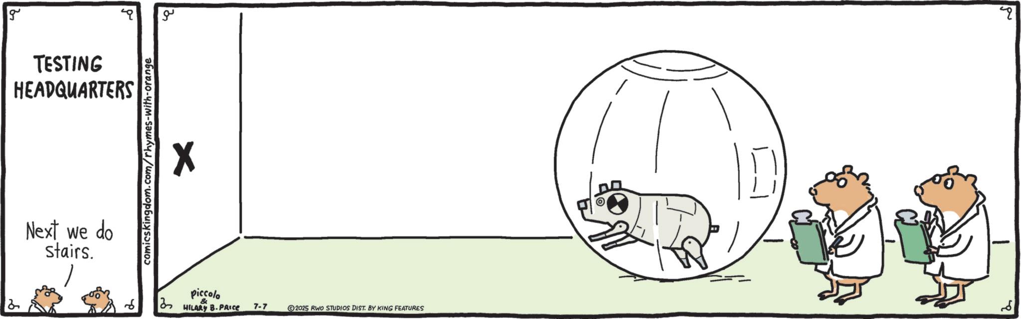 Diagram OCR: g TESTING HEADQUARTERS Next we do stairs. comicskingdom.com/rhymes-with-orange ? ?? X piccolo HILARY B.PRICE 7-7 2025 RWO STUDIOS DIST. BY KING FEATURES - g TESTING HEADQUARTERS Next we do stairs . comicskingdom.com/rhymes-with-orange ? ?? X piccolo HILARY B.PRICE 7-7 2025 RWO STUDIOS DIST . BY KING FEATURES -