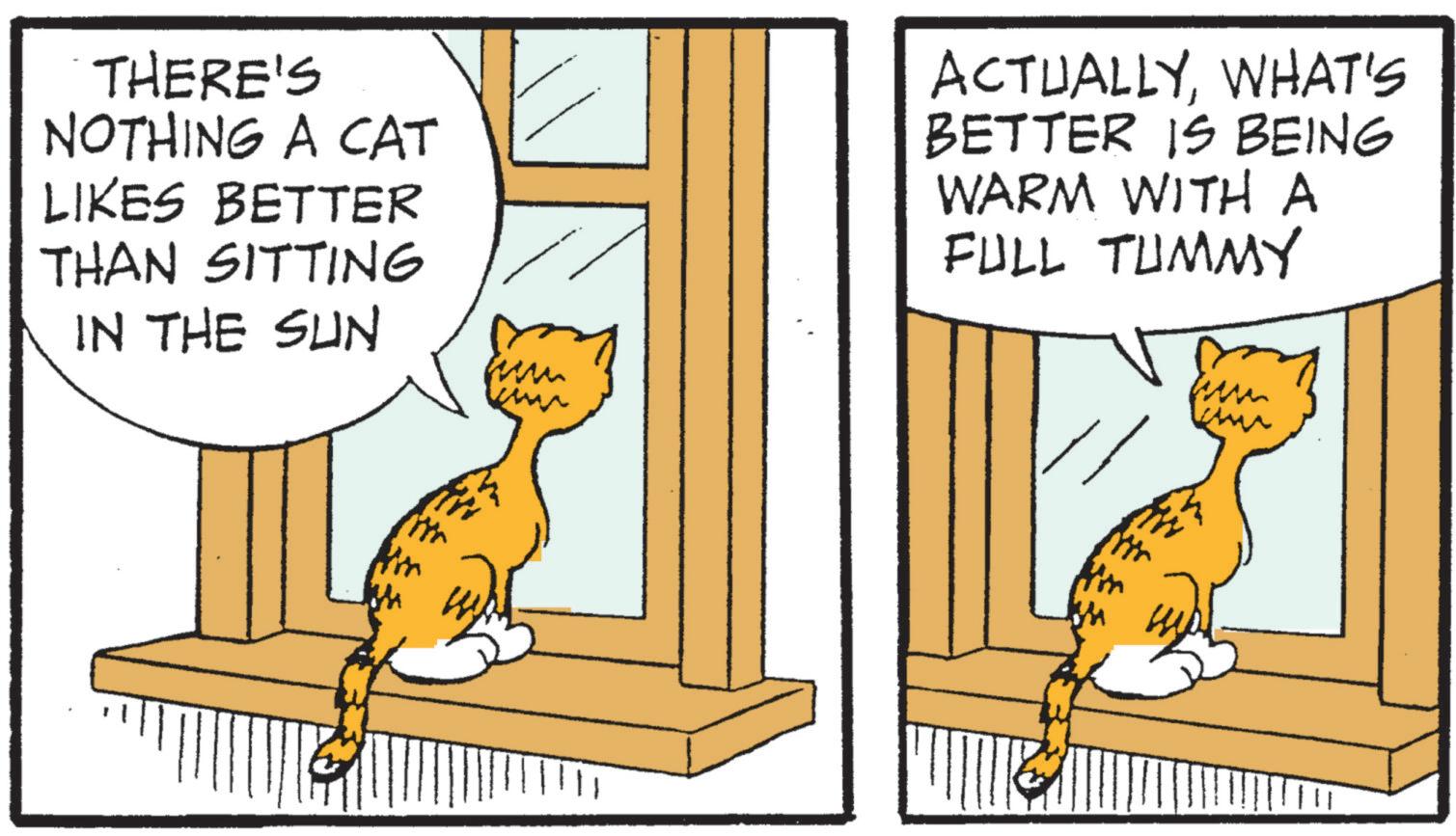 Whiskers OCR: THERE'S NOTHING A CAT LIKES BETTER THAN SITTING IN THE SUN ww ACTUALLYWHAT'S BETTER IS BEING WARM WITH A FULL TUMMY THERE'S NOTHING A CAT LIKES BETTER THAN SITTING IN THE SUN ww ACTUALLYWHAT'S BETTER IS BEING WARM WITH A FULL TUMMY