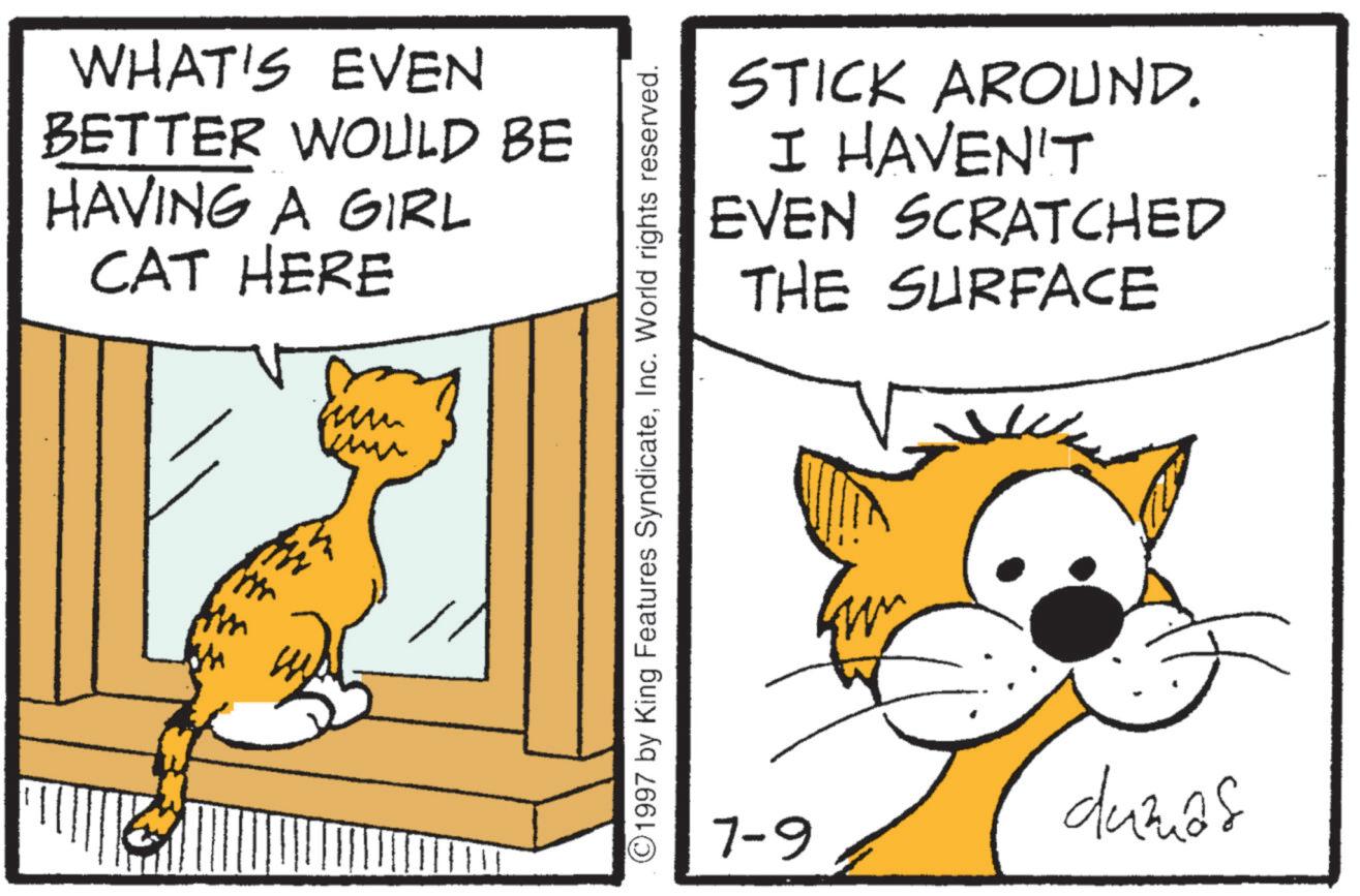 Fiction OCR: WHAT'S EVEN BETTER WOULD BE HAVING A GIRL CAT HERE ?? sun ? ??? 1997 by King Features SyndicateInc. World rights reserved. STICK AROUND. I HAVEN'T EVEN SCRATCHED THE SURFACE dumas 7-9 WHAT'S EVEN BETTER WOULD BE HAVING A GIRL CAT HERE ? ? sun ? ??? 1997 by King Features SyndicateInc. World rights reserved . STICK AROUND . I HAVEN'T EVEN SCRATCHED THE SURFACE dumas 7-9