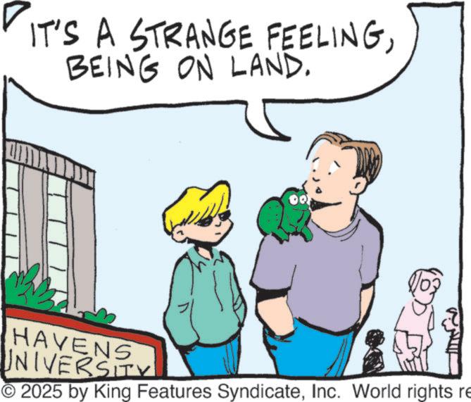 Fictional character OCR: IT'S A STRANGE FEELINGBEING ON LAND. ?????? HAVENS UNIVERSITY © 2025 by King Features SyndicateInc. World rights re IT'S A STRANGE FEELINGBEING ON LAND . ?????? HAVENS UNIVERSITY © 2025 by King Features SyndicateInc. World rights re