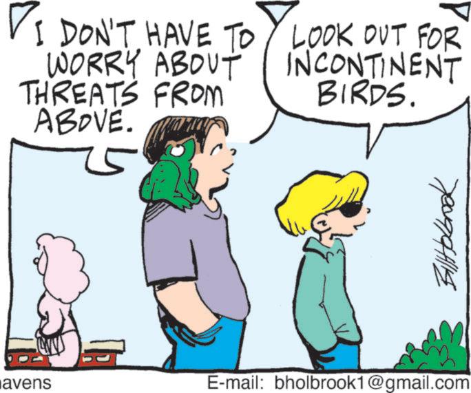 Fictional character OCR: avens I DON'T HAVE TO WORRY ABOUT FROM THREATS ABOVE. LOOK OUT FOR INCONTINENT BIRDS. E-mail: bholbrook1@gmail.com BallHolbrook avens I DON'T HAVE TO WORRY ABOUT FROM THREATS ABOVE . LOOK OUT FOR INCONTINENT BIRDS . E - mail : bholbrook1@gmail.com BallHolbrook