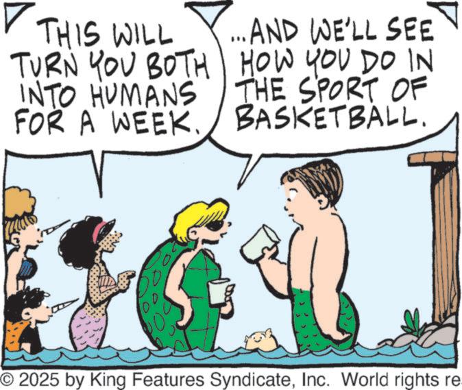 Clip art OCR: THIS WILL ...AND WE'LL SEE TURN YOU BOTH HOW YOU DO IN INTO HUMANS FOR A WEEK. THE SPORT OF BASKETBALL. O 2025 by King Features SyndicateInc. World rights re THIS WILL ... AND WE'LL SEE TURN YOU BOTH HOW YOU DO IN INTO HUMANS FOR A WEEK . THE SPORT OF BASKETBALL . O 2025 by King Features SyndicateInc. World rights re