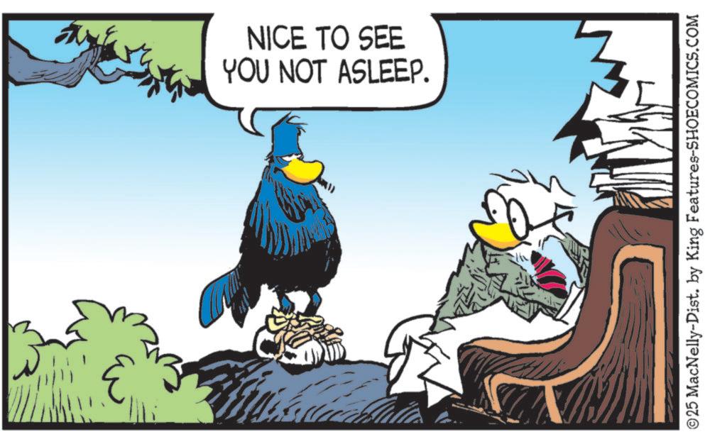 Feather OCR: YOU NOT ASLEEP. NICE TO SEE ? © 25 MacNelly-Dist. by King Features-SHOECOMICS.COM YOU NOT ASLEEP . NICE TO SEE ? © 25 MacNelly - Dist . by King Features-SHOECOMICS.COM