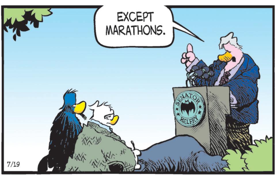 Accipitriformes OCR: 7/19 EXCEPT MARATHONS. SENA OR BELFRY 7/19 EXCEPT MARATHONS . SENA OR BELFRY