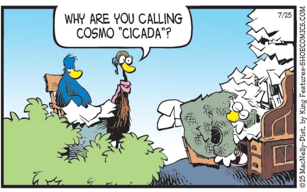 Graphics OCR: ? ??? WHY ARE YOU CALLING COSMO "CICADA"? ? 7/25 ©25 MacNelly-Dist. by King Features-SHOECOMICS.COM AR ? ??? WHY ARE YOU CALLING COSMO " CICADA " ? ? 7/25 © 25 MacNelly - Dist . by King Features-SHOECOMICS.COM AR