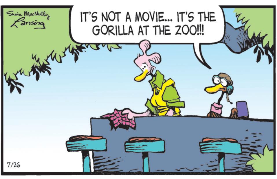 Comics OCR: Susie MacNelly Lansing 7/26 IT'S NOT A MOVIE... IT'S THE GORILLA AT THE ZOO!!! Susie MacNelly Lansing 7/26 IT'S NOT A MOVIE ... IT'S THE GORILLA AT THE ZOO !!!