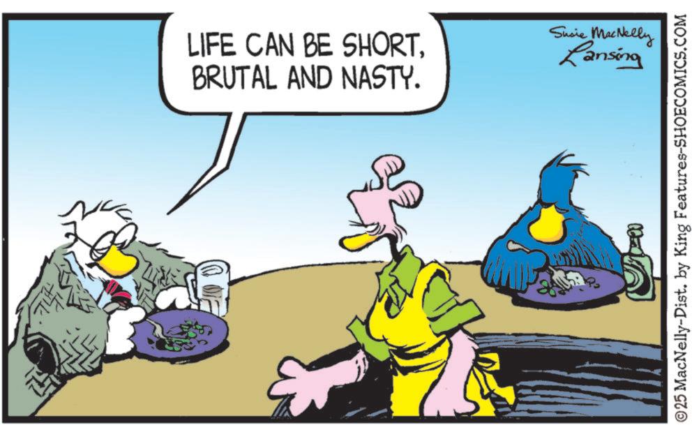 Fowl OCR: ? LIFE CAN BE SHORTBRUTAL AND NASTY. Susie MacNelly Lansing ©25 MacNelly-Dist. by King Features-SHOECOMICS.COM ? LIFE CAN BE SHORTBRUTAL AND NASTY . Susie MacNelly Lansing © 25 MacNelly - Dist . by King Features-SHOECOMICS.COM