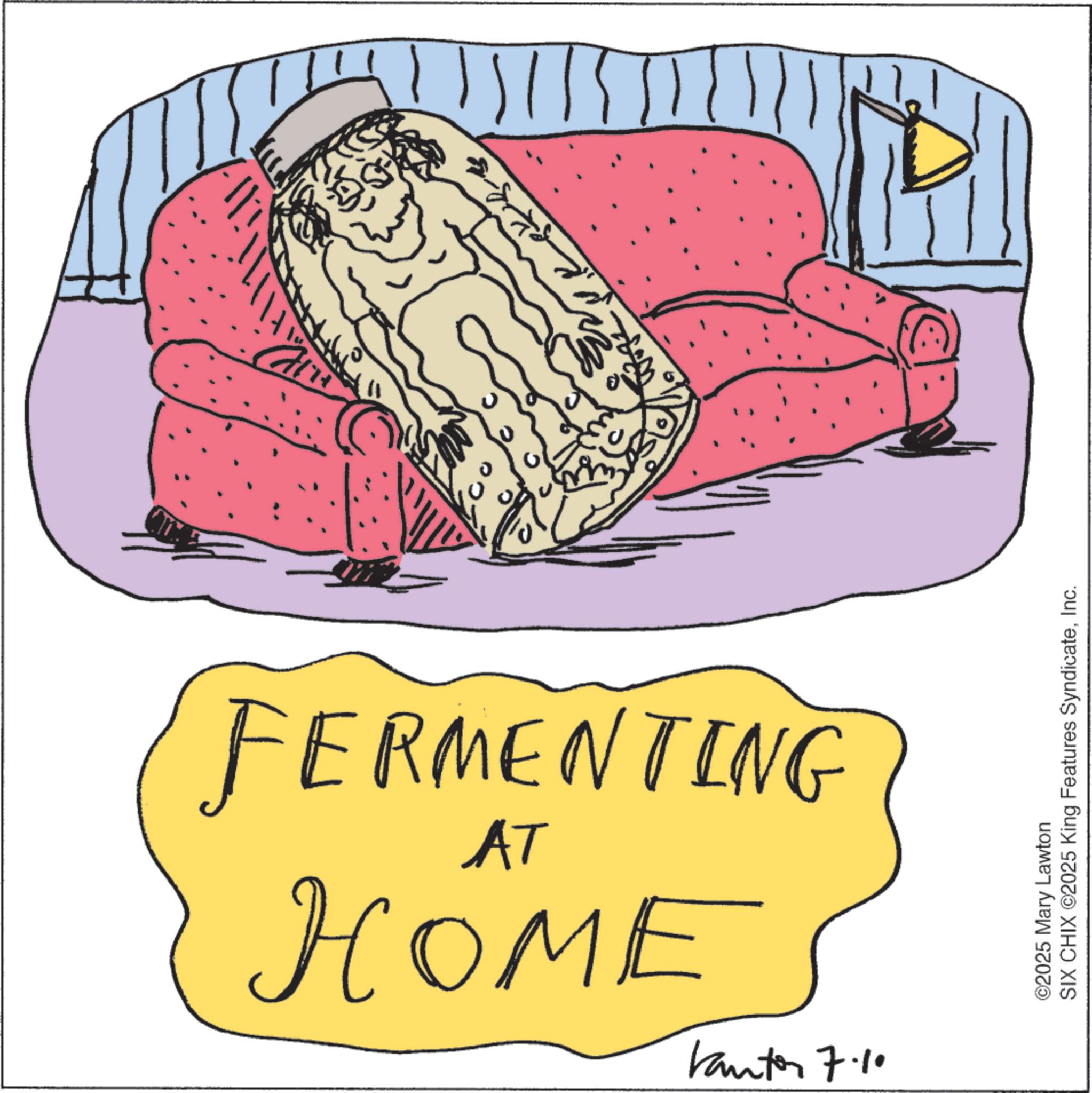 Illustration OCR: 11115 FERMENTING AT HOME Kantor 7.1 ©2025 Mary Lawton SIX CHIX ©2025 King Features SyndicateInc. 11115 FERMENTING AT HOME Kantor 7.1 © 2025 Mary Lawton SIX CHIX © 2025 King Features Syndicate