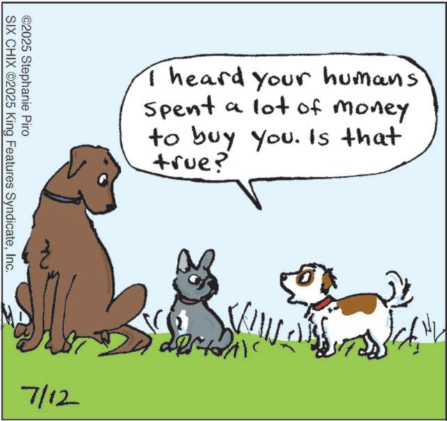 Canidae OCR: ©2025 Stephanie Piro SIX CHIX ©2025 King Features SyndicateInc. I heard your humans Spent a lot of money to buy you. Is that true? 7/12 © 2025 Stephanie Piro SIX CHIX © 2025 King Features SyndicateInc. I heard your humans Spent a lot of money to buy you . Is that true ? 7/12