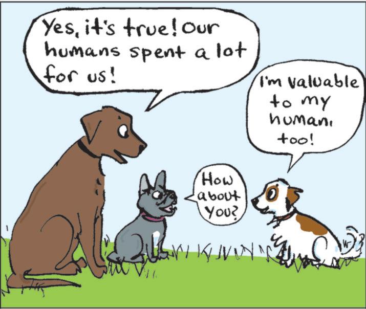 Clip art OCR: Yesit's true! Our humans spent a lot for us! I'm valuable How about You? to My humani too! Yesit's true ! Our humans spent a lot for us ! I'm valuable How about You ? to My humani too !