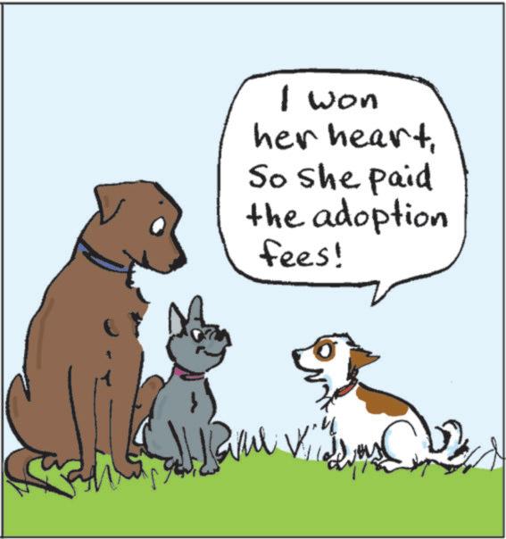 Animation OCR: I won her heartSo she paid the adoption fees! I won her heartSo she paid the adoption fees !