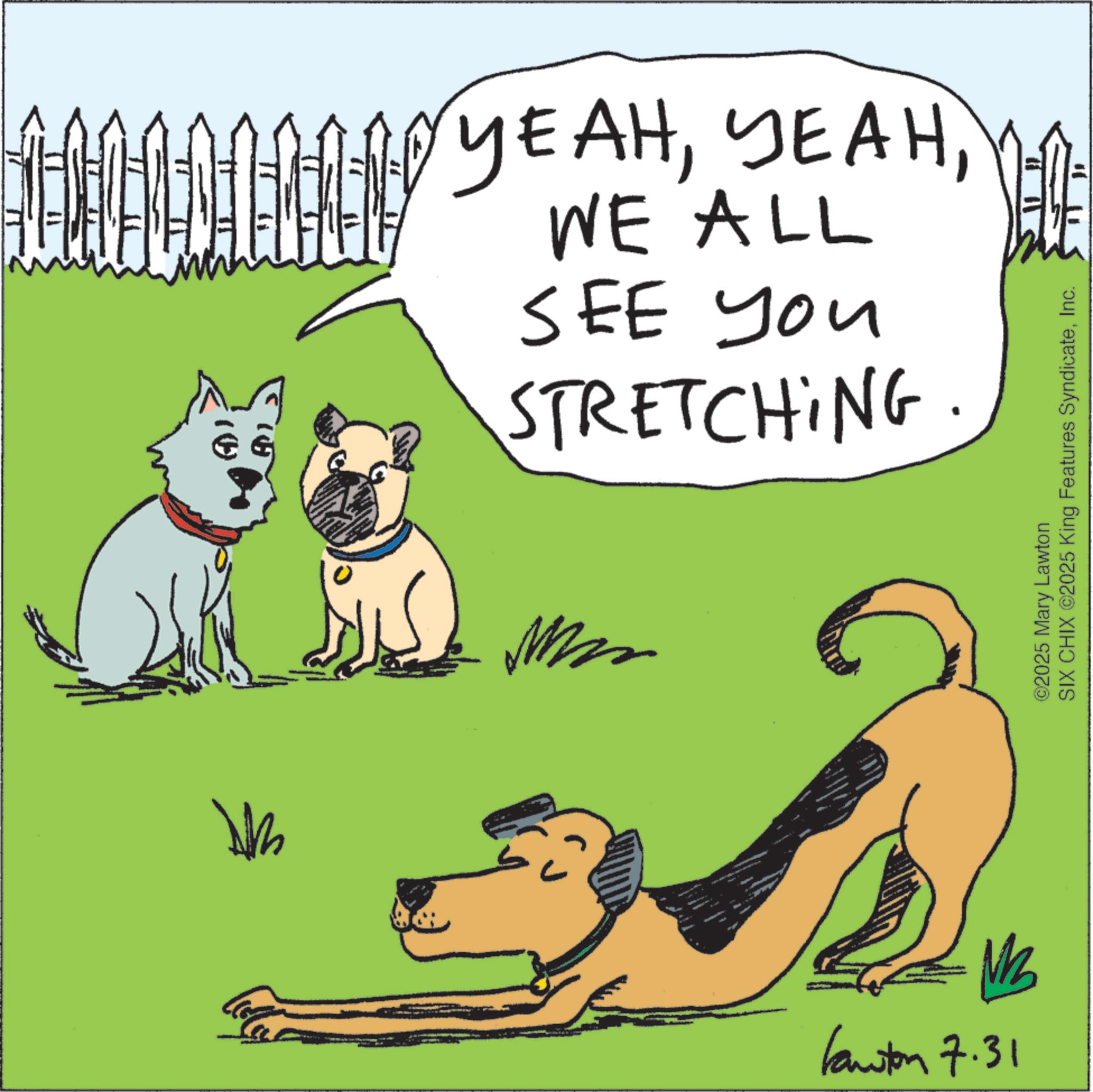 Animated cartoon OCR: M Kawton 7.31 ?? YEAHWE ALL SEE you STRETCHING ©2025 Mary Lawton SIX CHIX ©2025 King Features SyndicateInc. ? M Kawton 7.31 ?? YEAHWE ALL SEE you STRETCHING © 2025 Mary Lawton SIX CHIX © 2025 King Features SyndicateInc. ?