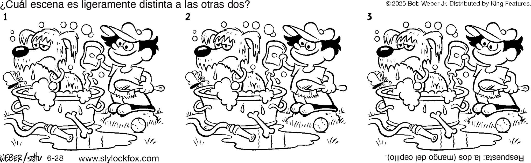 Happiness OCR: 1 ¿Cuál escena es ligeramente distinta a las otras dos? ©2025 Bob Weber Jr. Distributed by King Features. w 2 V Ve WEBER/Sotu 6-28 www.slylockfox.com (de la ) so a s?n 1 ¿ Cuál escena es ligeramente distinta a las otras dos ? © 2025 Bob Weber Jr. Distributed by King Features . w 2 V Ve WEBER / Sotu 6-28 www.slylockfox.com ( de la ) so a s?n