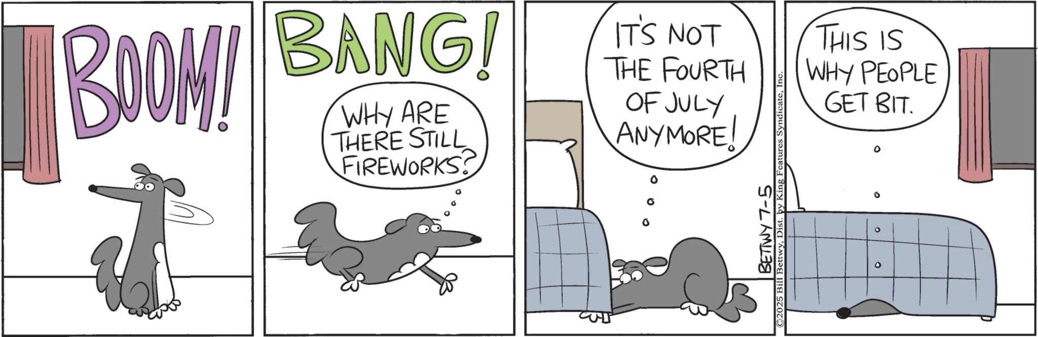 Photo caption OCR: BOOM! 7 BANG! WHY ARE THERE STILL FIREWORKS IT'S NOT THE FOURTH OF JULY ANYMORE! CUP BETTWY 7-5 ©2025 Bill BettwyDist. þy King Features Syndicate ° THIS IS WHY PEOPLE GET BIT. ? BOOM ! 7 BANG ! WHY ARE THERE STILL FIREWORKS IT'S NOT THE FOURTH OF JULY ANYMORE ! CUP BETTWY 7-5 © 2025 Bill BettwyDist . þy King Features Syndicate ° THIS IS WHY PEOPLE GET BIT . ?