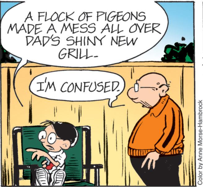 Comics OCR: A FLOCK OF PIGEONS MADE A MESS ALL OVER DAD'S SHINY NEW GRILL- I'M CONFUSED Color by Anne Morse-Hambrock A FLOCK OF PIGEONS MADE A MESS ALL OVER DAD'S SHINY NEW GRILL- I'M CONFUSED Color by Anne Morse - Hambrock