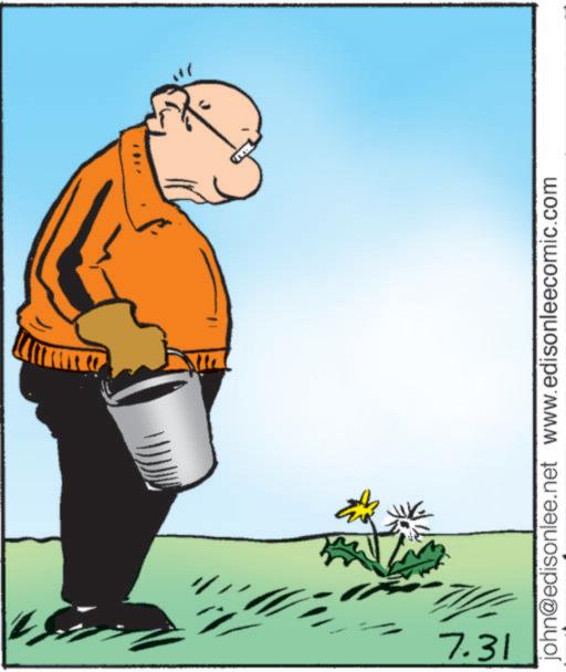 Clip art OCR: 7.31 john@edisonlee.net www.edisonleecomic.com 7.31 john@edisonlee.net www.edisonleecomic.com