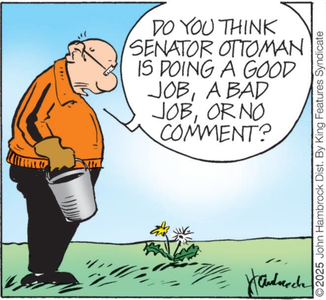 Animated cartoon OCR: DO YOU THINK SENATOR OTTOMAN IS DOING A GOOD JOBA BAD JOBOR NO COMMENT? ©2025 John Hambrock Dist. By King Features Syndicate DO YOU THINK SENATOR OTTOMAN IS DOING A GOOD JOBA BAD JOBOR NO COMMENT ? © 2025 John Hambrock Dist . By King Features Syndicate