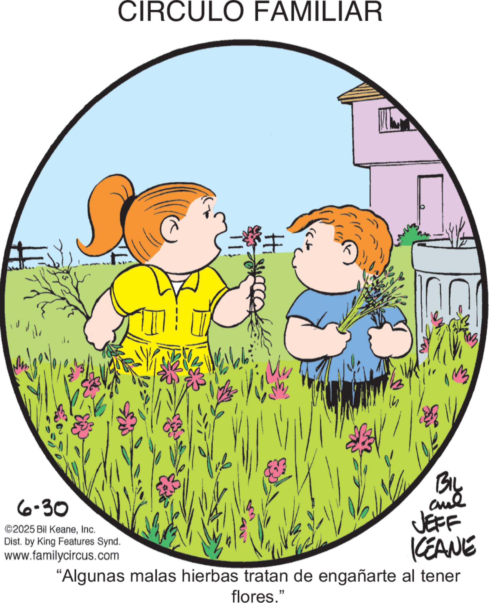 Photo caption OCR: CIRCULO FAMILIAR Hi My 6-30 ©2025 Bil KeaneInc. Dist. by King Features Synd. www.familycircus.com BIL and JEFF KEANE "Algunas malas hierbas tratan de engañarte al tener flores." CIRCULO FAMILIAR Hi My 6-30 © 2025 Bil KeaneInc. Dist . by King Features Synd . www.familycircus.com BIL and JEFF KEANE " Algunas malas hierbas tratan de engañarte al tener flores . "