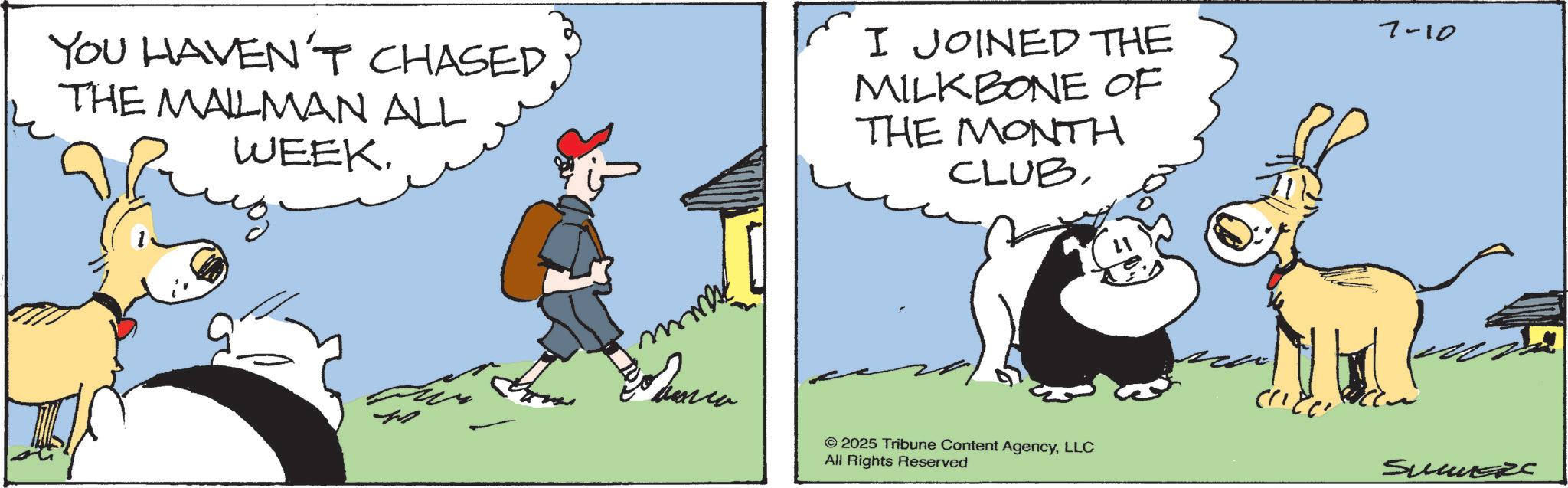 Working animal OCR: YOU HAVEN'T CHASED THE MAILMAN ALL WEEK. I JOINED THE MILKBONE OF THE MONTH CLUBm 7-10 2025 Tribune Content AgencyLLC All Rights Reserved SummerC YOU HAVEN'T CHASED THE MAILMAN ALL WEEK . I JOINED THE MILKBONE OF THE MONTH CLUBm 7-10 2025 Tribune Content AgencyLLC All Rights Reserved SummerC