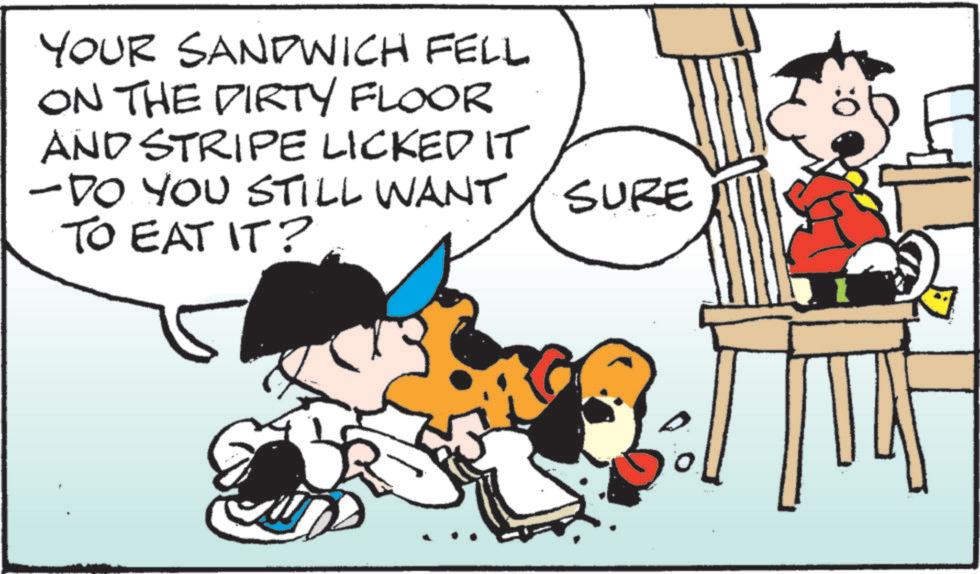 Graphics OCR: YOUR SANDWICH FELL ON THE DIRTY FLOOR AND STRIPE LICKED IT -DO YOU STILL WANT SURE TO EAT IT? YOUR SANDWICH FELL ON THE DIRTY FLOOR AND STRIPE LICKED IT -DO YOU STILL WANT SURE TO EAT IT ?