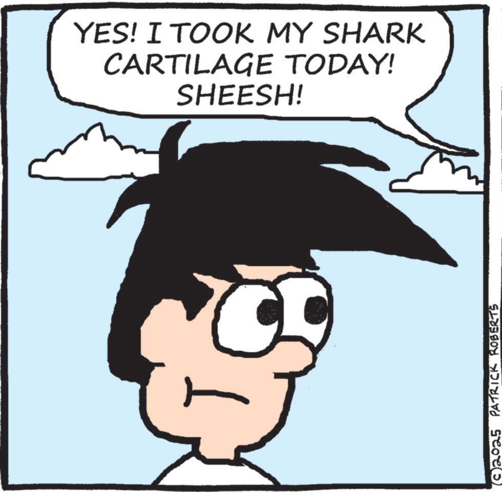 Graphics OCR: YES! I TOOK MY SHARK CARTILAGE TODAY! SHEESH! (c) 2025 PATRICK ROBERTS YES ! I TOOK MY SHARK CARTILAGE TODAY ! SHEESH ! ( c ) 2025 PATRICK ROBERTS