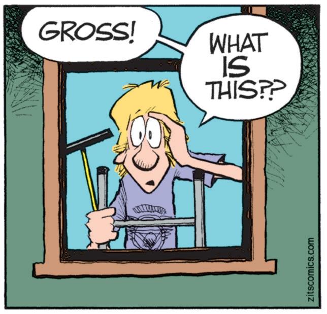 Graphics OCR: GROSS! WHAT IS THIS?? zitscomics.com GROSS ! WHAT IS THIS ?? zitscomics.com