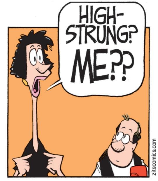 Fiction OCR: HIGH- STRUNG? ME?? zitscomics.com HIGH- STRUNG ? ME ?? zitscomics.com